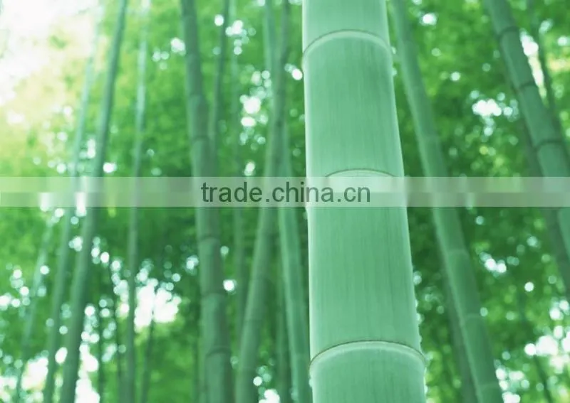 fresh and natural appearance bamboo fiber plates and dishes,bamboo dinner set