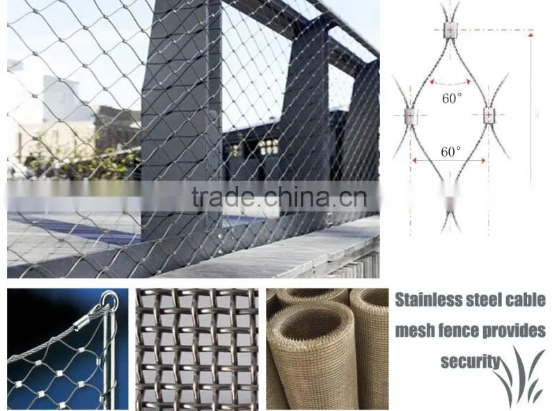 Hebei Shuolong ISO Manufactory export stainless steel wire mesh / mesh fabric