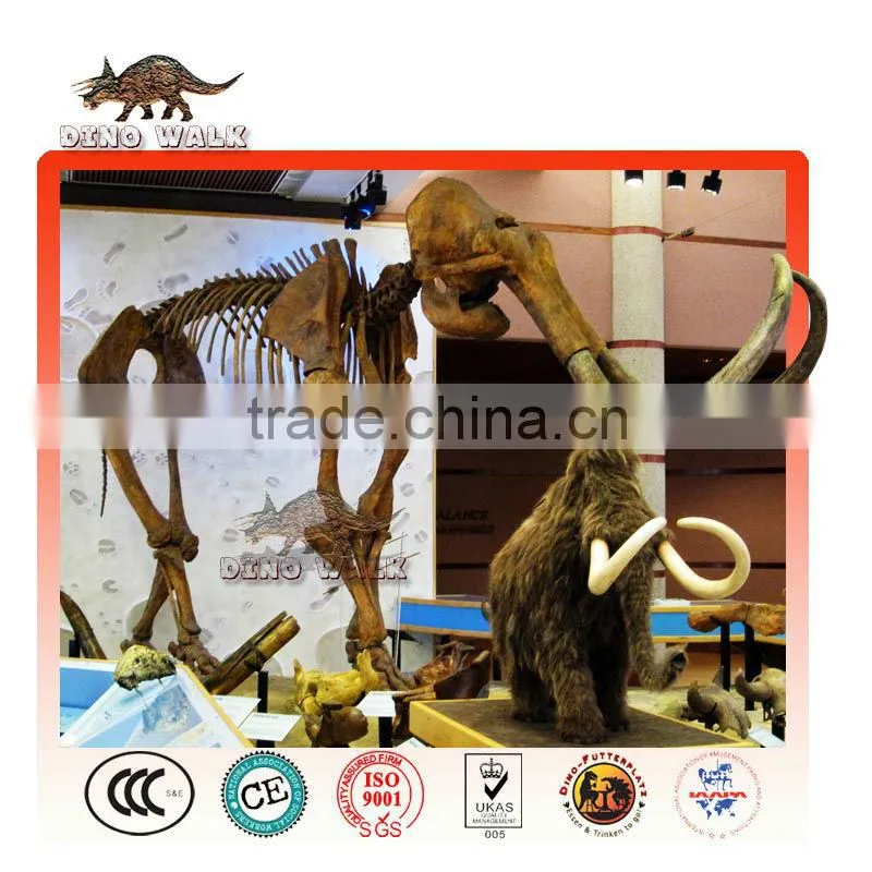 Life Size Plastic Dinosaur Fossil-Theme Park Equipment for Sale