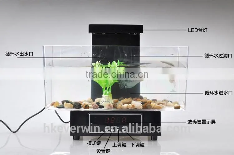 Fashionable usb mini desktop aquarium with LCD light and time shows