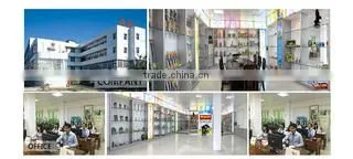 Leko Anime (hk) Company Limited company overview - view 1