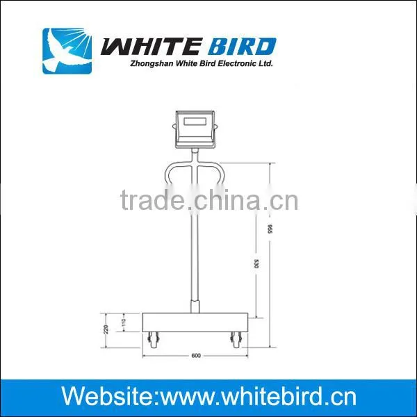 600kg auto hold epoxy painted structure multi-function platform scale