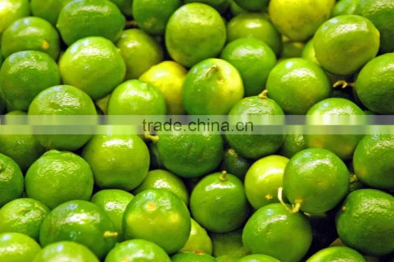 CHEAPER PRICE VIETNAM FRESH LIME