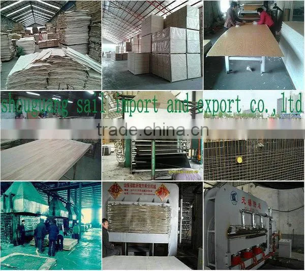shandong film faced plywood/marine plywood/construction plywood