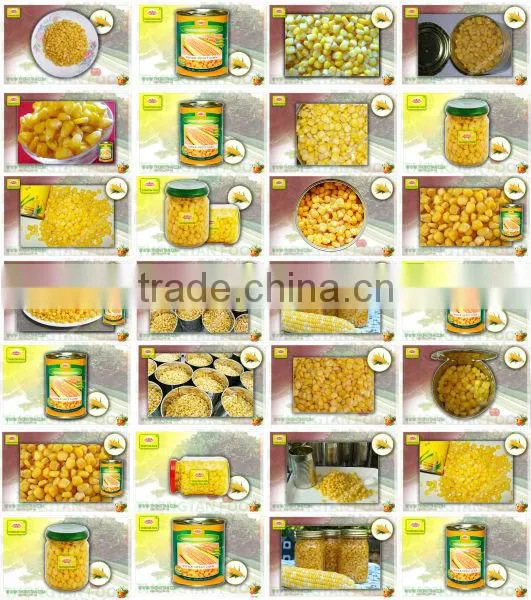 Canned Sweet Kernel Corn
