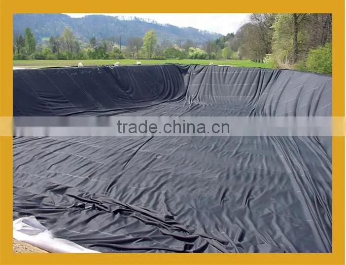 High Density Polyethylene Geomembrane for Fish Farming Pond Liner