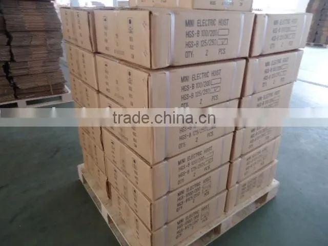 electric cable hoist 125/250kg