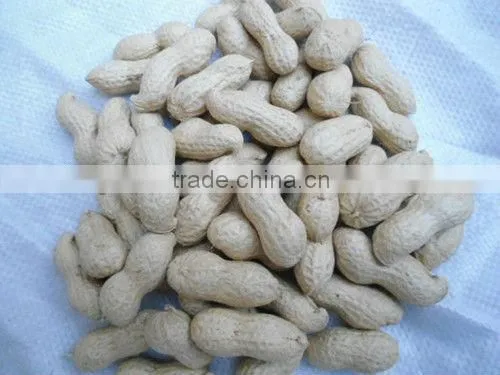 raw peanut kernel for sale