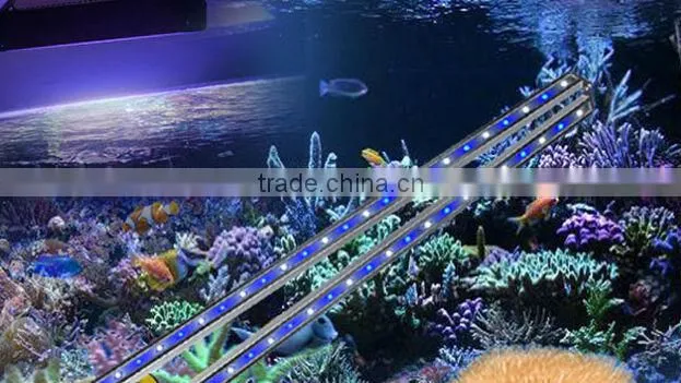led strip coral led lights for aquarium wholesale