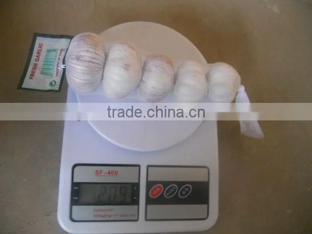 2013 crop natural garlic ,good quality new garlic