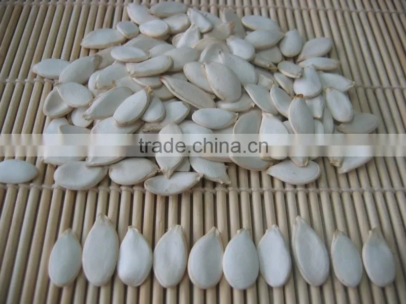 Bulk Packaging Pumpkin seeds Kernel Wholesale Grade A