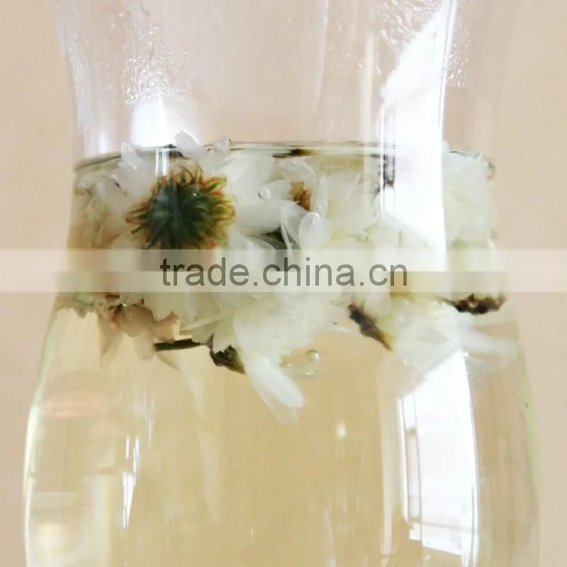 2015yr Huangshan Tribute Chrysanthemum
