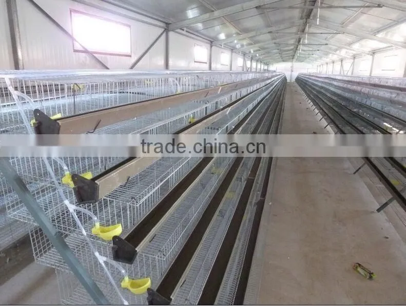 Layer Quail Cages For Sale From Direct Factory