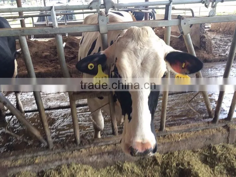 Chinese high quality advanced polyurethane formulation rfid uhf animal ear tag