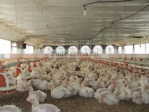 Poultry fan/broiler breeder house fan/chicken fan/egg fan/cone fan/chicken farm