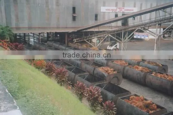 Hot sale palm oil machinery made in China