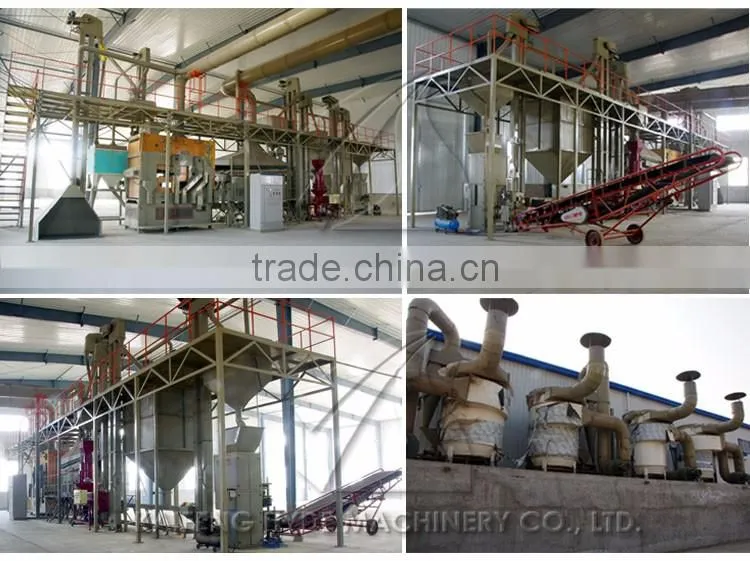 10T Wheat seed cleaning machines for Food bank storage