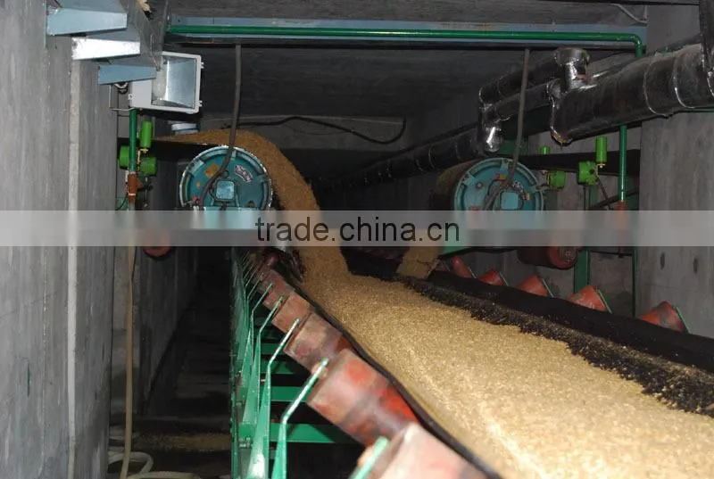 Beer barlty malting equipment