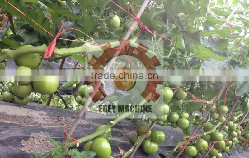 Banana And Tomato Binding Twine Spool Windering machine