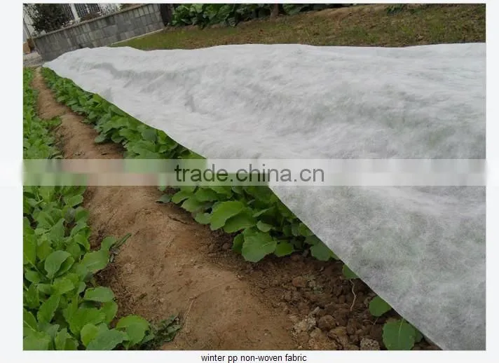 Agriculture nonwoven cover Fabric for ground cover