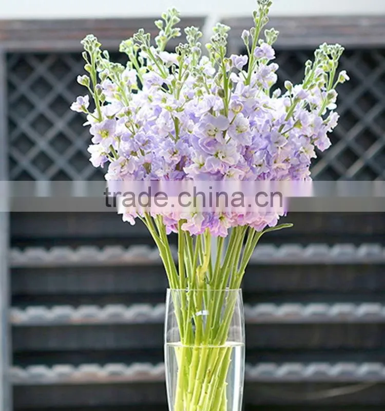 Cheap Best-Selling light purple violets