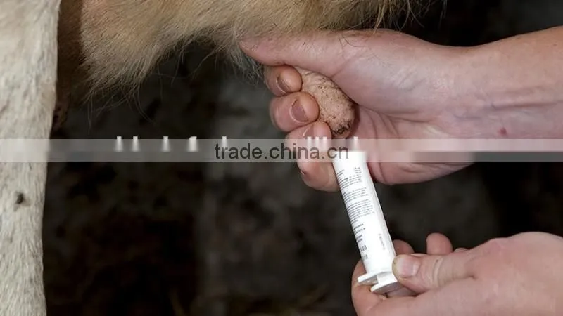 Dry Cow Therapy Syringe