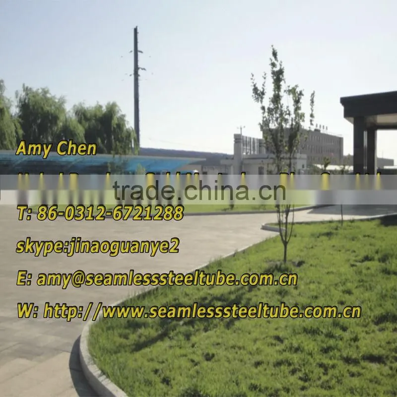 High Precision Seamless Steel Pipes/Tube