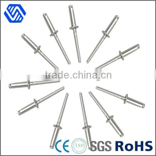 High quality fasterner steel bolt all kinds of plating rivet bolt