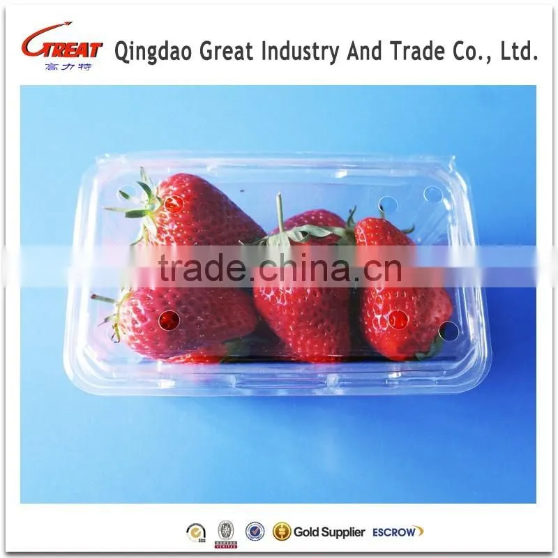 Plastic Transparent Box 1pound Strawberry Packaging Container