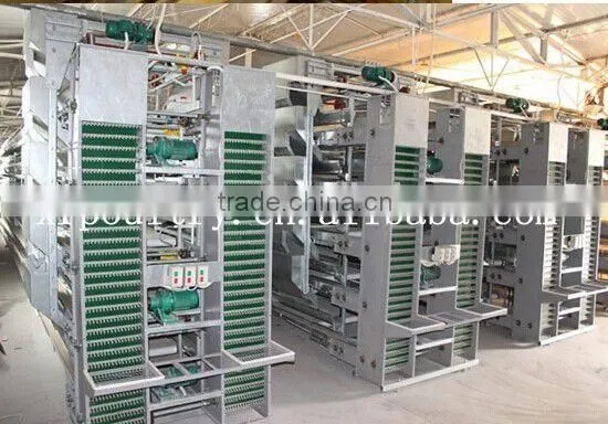Full-auto Equipment with fan cooling pad for Poultry farm chicken house