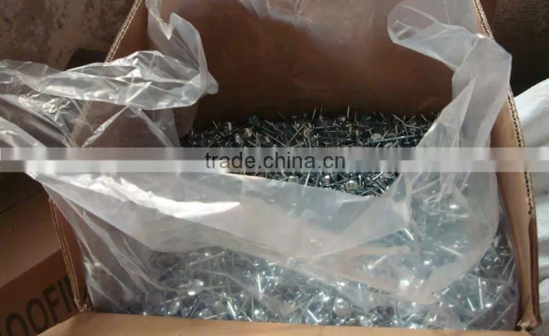 Umbrella galvanized twist shank roofing nails