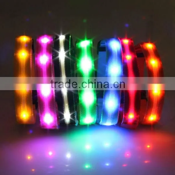 colourful led dog collar