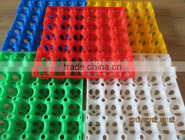 New Design Plastic chicken Egg Tray Colorful Egg Trays for sale