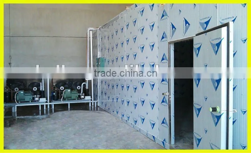 Hot sale deep freezer 30CBM cold storage room with new technology for fish VCR30