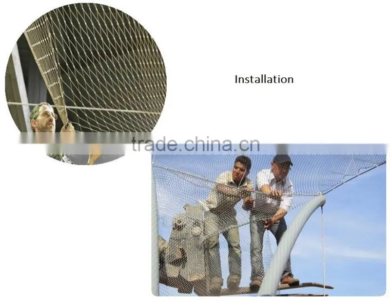 Anping stainless steel Zoo Aviary Mesh