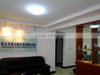 Changsha Borun Mould Co., Ltd. company overview - view 1