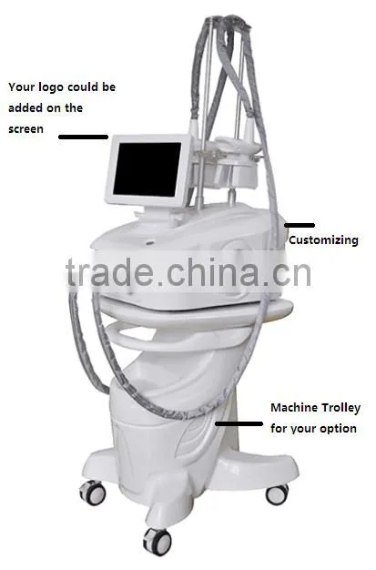 Cool sculpture machine criolipolise cold zero cryo lipo laser machine SL-2