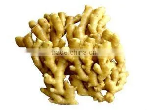 ginger 2012 for sale