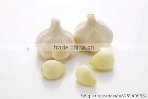 FX-128-2 Hot Sale Large Capacity Garlic Peeling Peeler Machine
