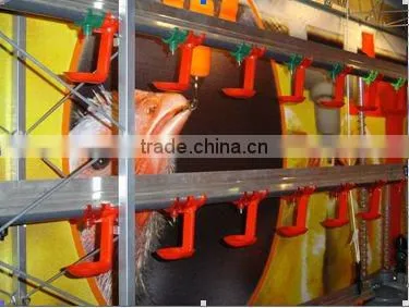 Automatic chicken cage