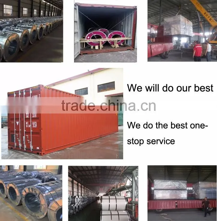 high quality hot dipped galvanized steel coils with SGCC material
