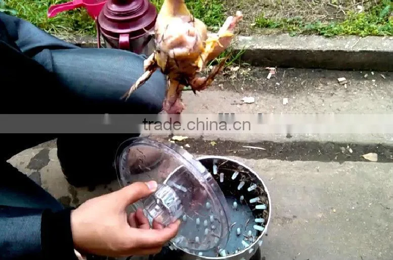 HHD Cheap Depilator Machine/ Feather Plucking Machine