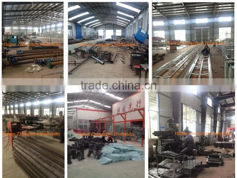 New Design Broiler Cage System