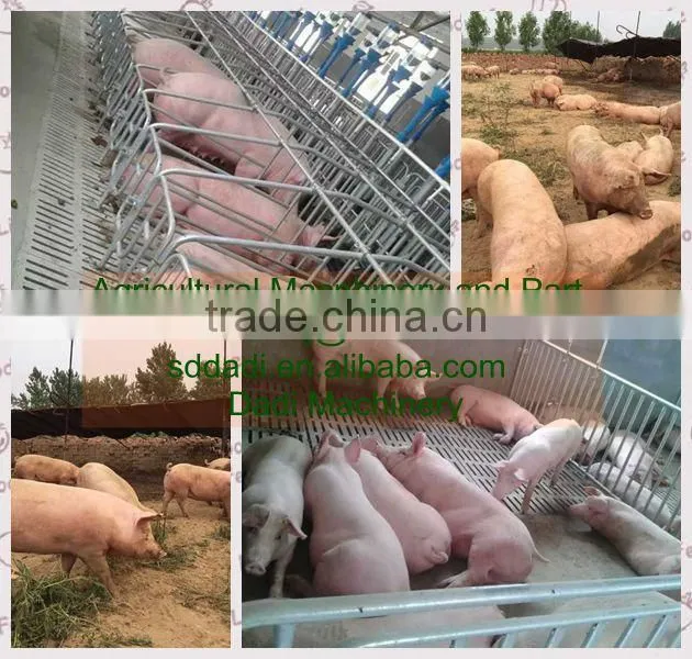 concret pig slatted floor, farm equipment