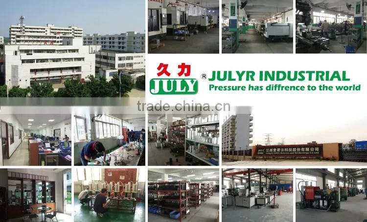 factory supply JULY customed liquid oxygen pump