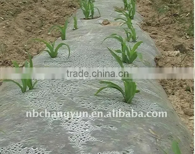 Agriculture greenhouse palstic mulch film