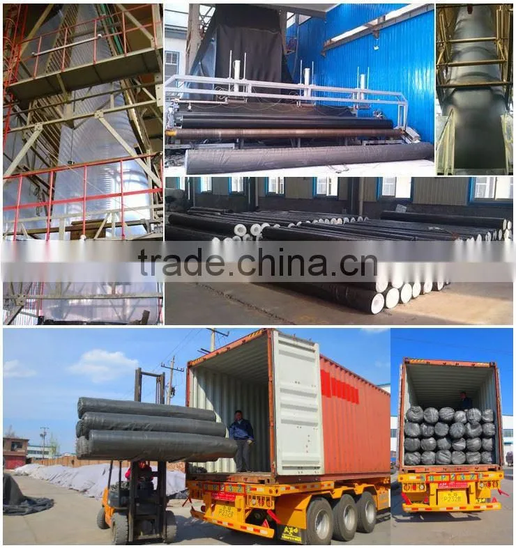 Fish film Chinese manufacturer best price Geomembrane fish farm pond liner