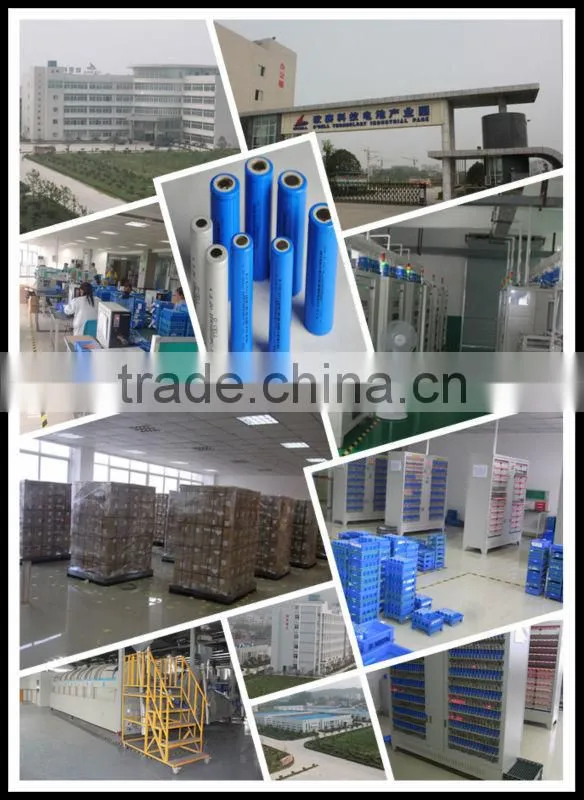 24V LiFePO4 battery for AGV 60Ah, 48V100Ah