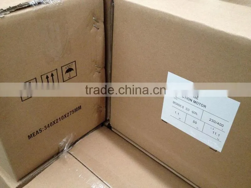 HS 0.75kW Three Phase Square Flange hydraulic motor