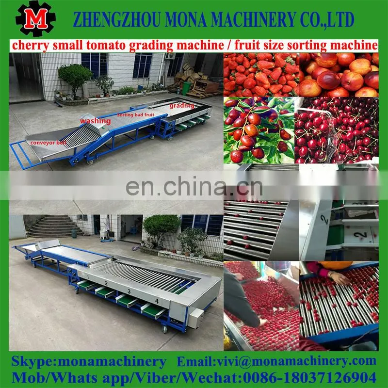 size fruit sorting machine by fruit diameter / small size high speed fruit grading machine